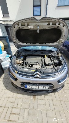Citroen C4 Cactus 2019