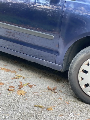 Volkswagen Polo 2006