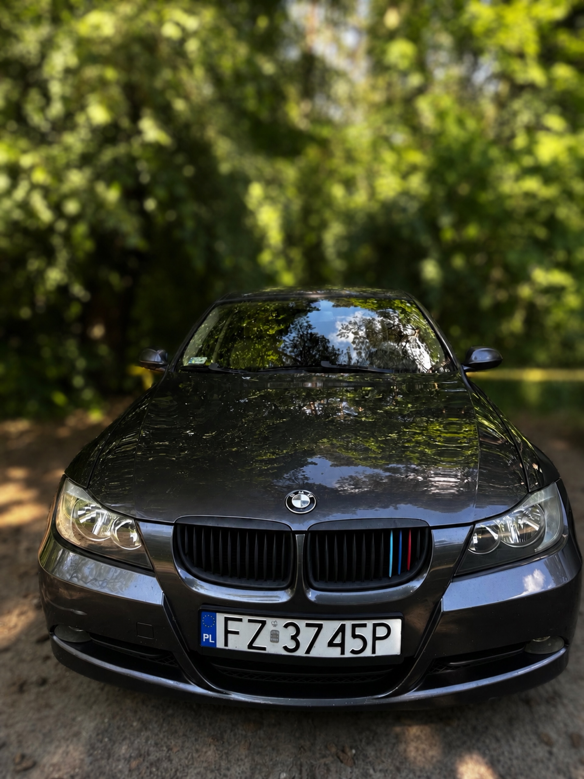 BMW 3 Series 2005